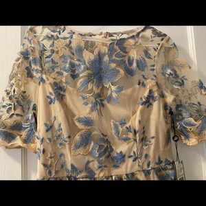 Brand new, never worn Adrianna Papell dress